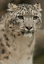 BUITEN BEELD Foto: 266098