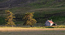 BUITEN BEELD Foto: 266125