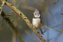 BUITEN BEELD Foto: 266150