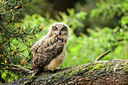 BUITEN BEELD Foto: 266162