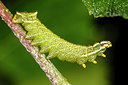 BUITEN BEELD Foto: 266211