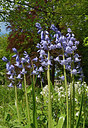 BUITEN BEELD Foto: 266230