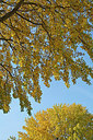 BUITEN BEELD Foto: 266277