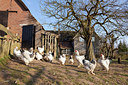 BUITEN BEELD Foto: 266297