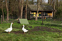 BUITEN BEELD Foto: 266298