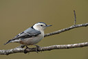 BUITEN BEELD Foto: 266326