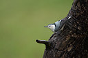 BUITEN BEELD Foto: 266332