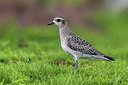 BUITEN BEELD Foto: 266353