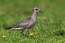 BUITEN BEELD Foto: 266354