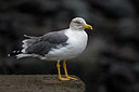 BUITEN BEELD Foto: 266371