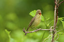 BUITEN BEELD Foto: 266497