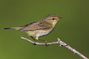 BUITEN BEELD Foto: 266552