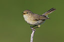 BUITEN BEELD Foto: 266554