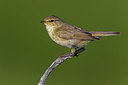 BUITEN BEELD Foto: 266555