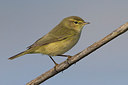 BUITEN BEELD Foto: 266562