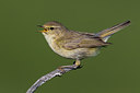 BUITEN BEELD Foto: 266563