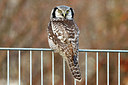 BUITEN BEELD Foto: 266615