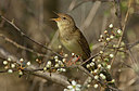 BUITEN BEELD Foto: 266619