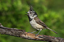 BUITEN BEELD Foto: 266674