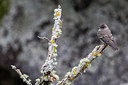 BUITEN BEELD Foto: 266681