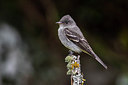 BUITEN BEELD Foto: 266682