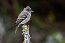 BUITEN BEELD Foto: 266684