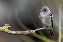 BUITEN BEELD Foto: 266685