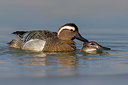 BUITEN BEELD Foto: 266719