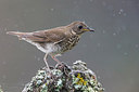 BUITEN BEELD Foto: 266768