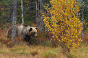 BUITEN BEELD Foto: 266886