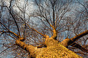 BUITEN BEELD Foto: 266916