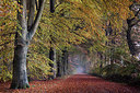 BUITEN BEELD Foto: 266965