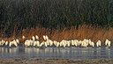BUITEN BEELD Foto: 266974