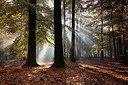 BUITEN BEELD Foto: 266977