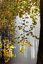 BUITEN BEELD Foto: 266980