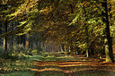 BUITEN BEELD Foto: 267004