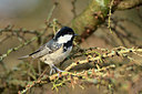 BUITEN BEELD Foto: 267127