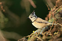 BUITEN BEELD Foto: 267132