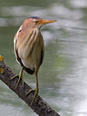 BUITEN BEELD Foto: 267177