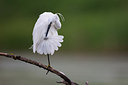 BUITEN BEELD Foto: 267179