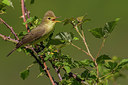 BUITEN BEELD Foto: 267189
