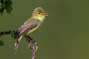 BUITEN BEELD Foto: 267191