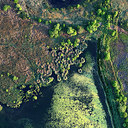 BUITEN BEELD Foto: 267254