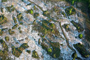 BUITEN BEELD Foto: 267256