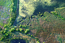 BUITEN BEELD Foto: 267269