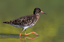 BUITEN BEELD Foto: 267525
