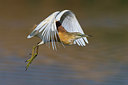 BUITEN BEELD Foto: 267546