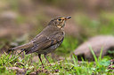 BUITEN BEELD Foto: 267551