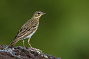 BUITEN BEELD Foto: 267563