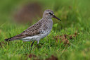 BUITEN BEELD Foto: 267591